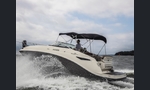 Sea Ray 265 Sundancer-kuva-5